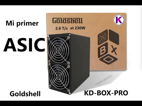 Mi primer ASIC. Voy a minar KADENA con mi nueva Goldshell KD BOX PRO