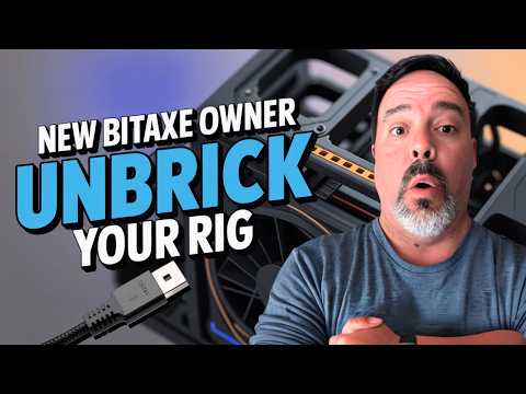 Don't Panic!  This Is The Fix to Unbrick Your Bitaxe Miner!