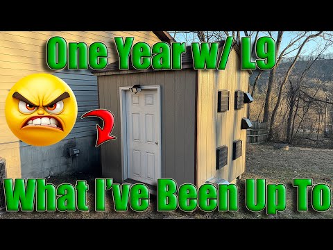 One Year with 16GH L9 Dogecoin Miner - Was It Worth It?