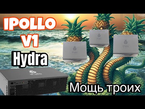 Ipollo V1h hydra 850mh нюансы, проблемы, покупка.Беглый взгляд. Прибыльный майнинг 2024.