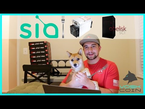 Investing in SIAcoin? What YOU NEED to KNOW! + Antminer A3 + Obelisk SC1 ASIC Miner