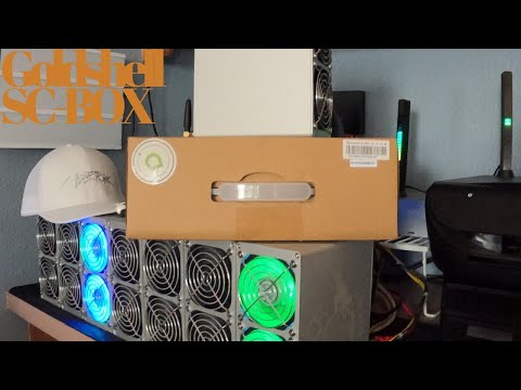 Goldshell SC Box on DxPool