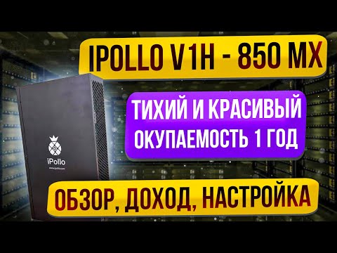 IPOLLO V1H - 850 МХ ❗️ МОЙ НОВЫЙ АСИК // ОБЗОР, ДОХОД, НАСТРОЙКА