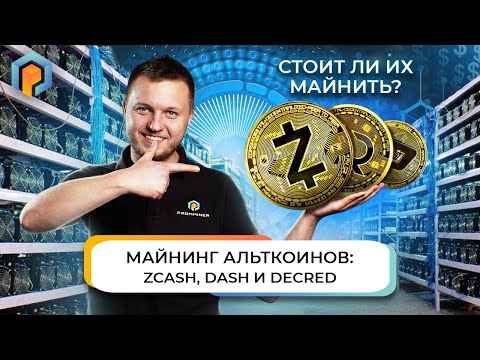 Майнинг KADENA на GoldShell KD5 останется прибыльным в 2022? Выгодно ли майнить непопулярные токены?