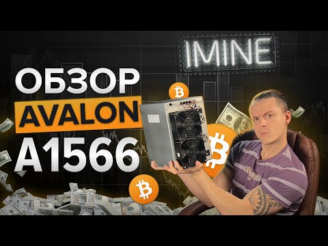 Честный обзор Avalon A1566, так ли хорош как обещают?