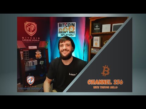 Channel 256 News: The Bitaxe Revolution Continues
