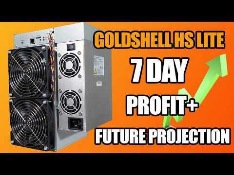 How Much Has This Made... Goldshell HS Lite