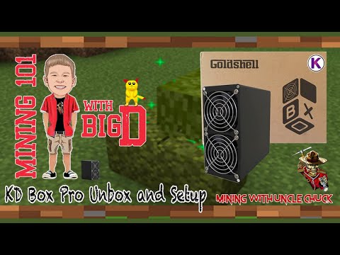 My 7 Year Old Is Mining Crypto!! What?? With His Goldshell Kd Box Pro...