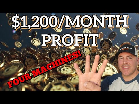 I Bought 4 Bitmain Antminer L9s! Earning $1,200/Month In Passive Income Merge Mining DOGE + LTC 2026