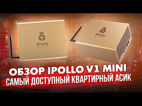 ОБЗОР IPOLLO V1MINI | САМЫЙ ДОСТУПНЫЙ КВАРТИРНЫЙ АСИК | ШУМ | ДОХОДНОСТЬ