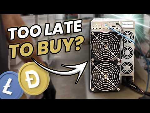 NOT BUYING THESE! Dogecoin Miners... Elphapex DG1 Lite Review