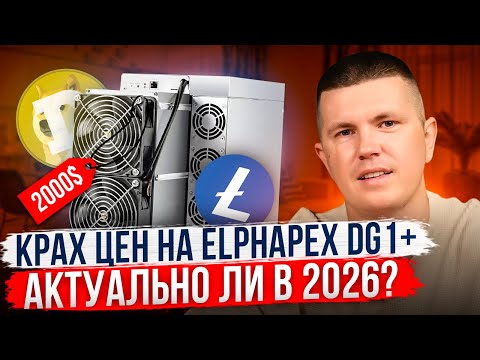 Крах цен на Elphapex DG1+ | Актуально ли в 2026?