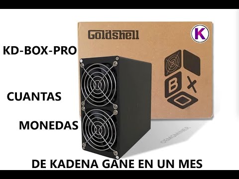 Rentabilidad de Goldshell KD BOX PRO en mi primer mes