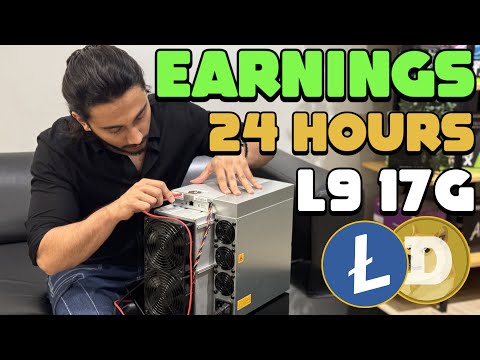 "We Ran the L9 17GH Miner for 24 HOURS – You Won’t Believe How Much It Earned! 💰🔥"