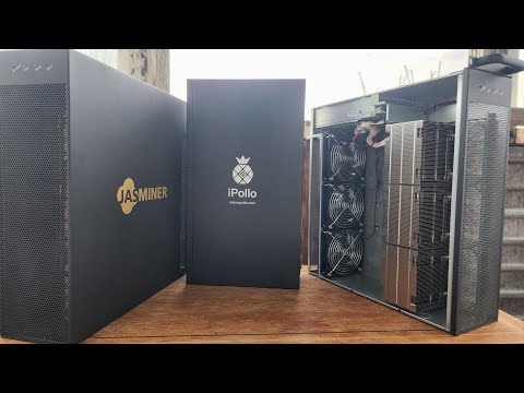 Jasminer X16-Q и iPollo V1H 850 ПЛАНОВОЕ То1 | ВАЖНЫЕ МОМЕНТЫ МАЙНИНГА!!!