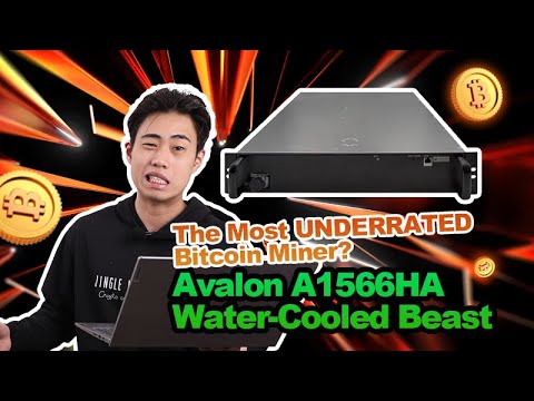 The Most UNDERRATED Bitcoin Miner? Avalon A1566HA Water-Cooled Beast