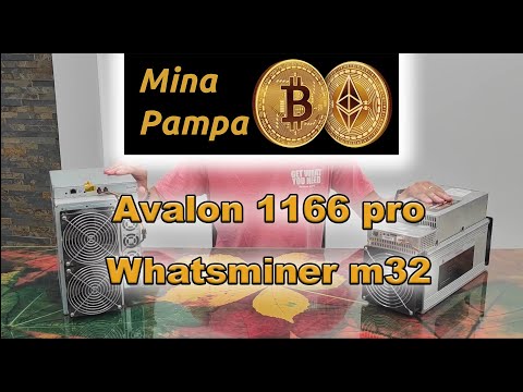 Canaan AVALON 1166PRO 81TH & MicroBT Whatsminer M32 68TH (Usados) Importamos sin problemas de Aduana