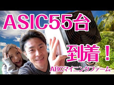 ASIC Baikal BK-N (Giant-N) が55台到着したよ