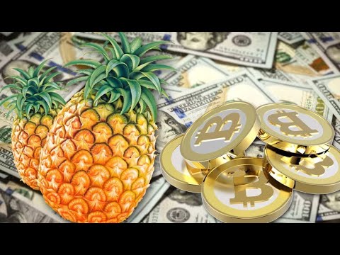 ipollo v1h 950mh что заработал ?! Не рекомендую покупай ipollo или jasminer шлак!