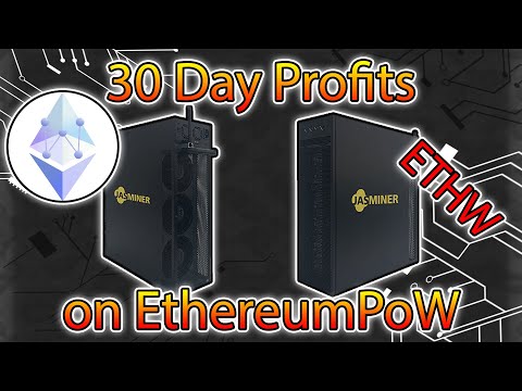 Jasminer X16 Q - Profitability after 30 Days