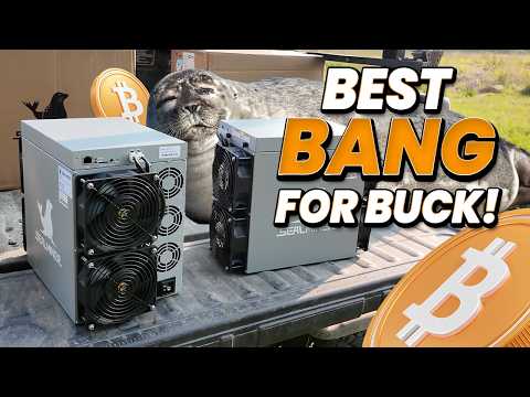 You Want To Buy These Bitcoin Miners