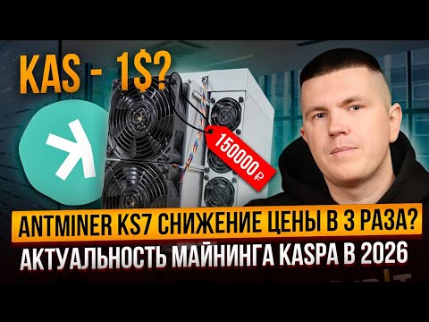Antminer KS7 снижение цены в 3 раза? | Актуальность майнинга Kaspa в 2026