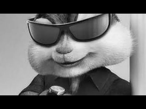 JASMINER-X16-QE-1350-1450-1550-MH