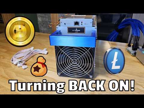Antminer L3+ is Profitable Again!? Triple Merge Mining LTC, Dogecoin &amp; Bellscoin