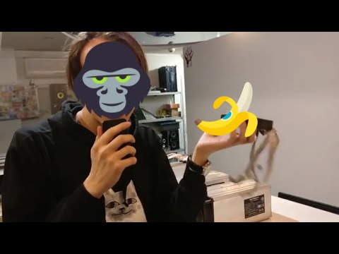 Обзор майнеров Innosilicon A4+ # Innosilicon А5 # Dominator || Перспективы SIACOIN