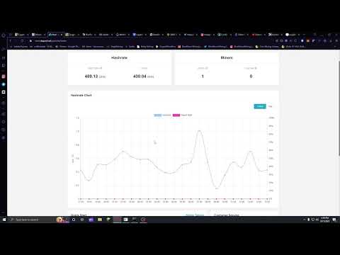 Goldshell HS box in a bear market? Bear market reviews.