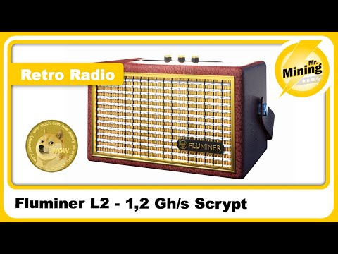 Fluminer L2 1,2 Gh/s Doge coin Miner und Retro Radio in einen, unboxing und dashboard
