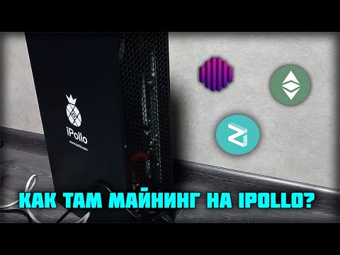 Доходность с майнинга на асиках ipollo v1 mini, x1, v1h
