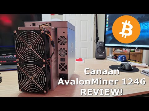 Canaan AvalonMiner 1246 performance & Revenue Review - Plus My Big Reveal!