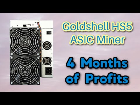 Goldshell HS5 - 4 MONTH (big profits) day by day. Cash money baby!