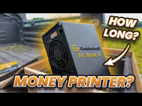 This Miner Earned $200 PER DAY THIS YEAR, but How Much TODAY?