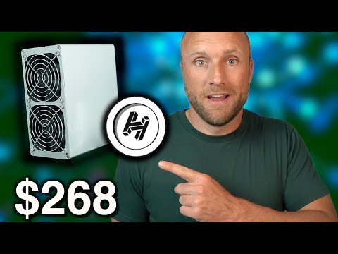 Goldshell HS Box Review