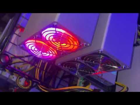 GoldShell MiniDoge Halloween &amp; L3+ &amp; CK,HNS,LB Box Miners