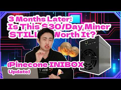 3 Months Later: Is This $30/Day Miner STILL Worth It? (Pinecone INIBOX Update)