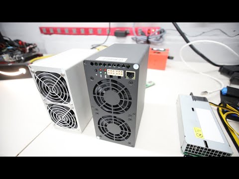 Choosing the Goldshell KD Box II Winner LIVE!