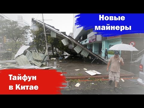 Dayun Zi Z1/ Тайфун Мангхук / Innosilicon T2 turbo+/ Whatsminer M10