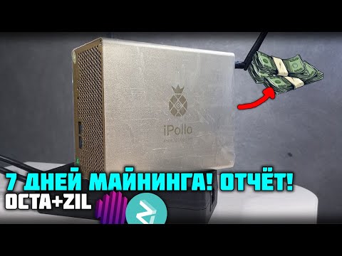 7 ДНЕЙ МАЙНИНГА на асике Ipollo v1 mini! Отчёт octa+zil